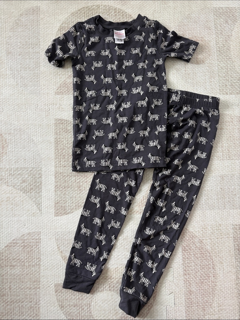 Hanna Andersson Zebra Print Pajama Set